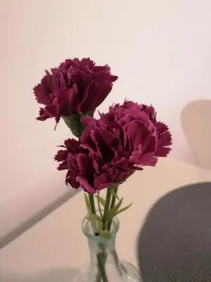 a vase filled with purple flowers on a table at Kalemegdan centar in Belgrade