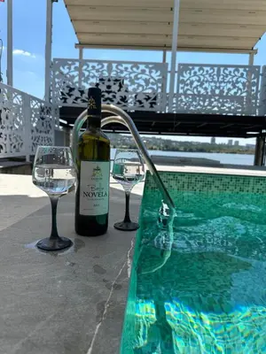 a bottle of wine and two glasses next to a swimming pool at Belgrade River House in Belgrade