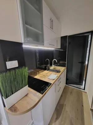 a kitchen with a counter with grass on it at Luxury Central Square Apartment 2214 in Belgrade