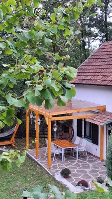 a pavilion with a table and chairs on a patio at Vikendica WoodNook Kosmaj - Šumski kutak in Sopot
