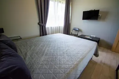a bedroom with a bed and a window and a television at Vila Julija in Surduk