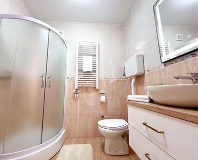 a bathroom with a shower and a toilet and a sink at Maja lux in Ruma