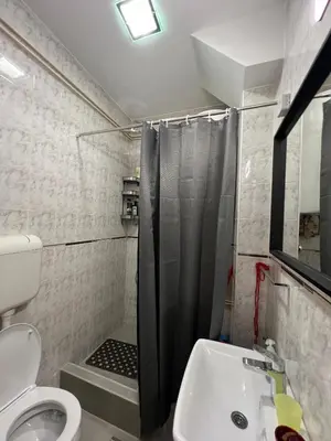 a bathroom with a shower and a toilet and a sink at Life & Work in Belgrade Centre with FREE parking! in Belgrade