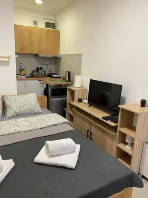 a small room with two beds and a television at Under the Tree in Novi Beograd