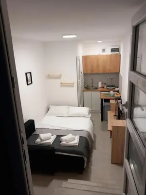 a small room with a bed and a kitchen at Under the Tree in Novi Beograd