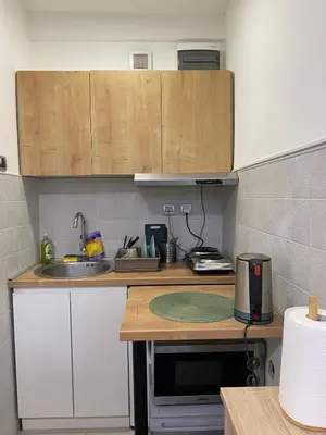 a kitchen with a sink and a counter top at Under the Tree in Novi Beograd