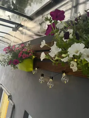 a bunch of flowers are hanging from a wall at Under the Tree in Novi Beograd