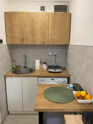a small kitchen with a sink and a counter top at Under the Tree in Novi Beograd