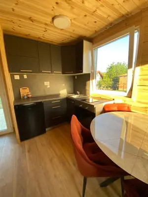a kitchen with a table and chairs and a window at Tiny house Neny Fruška gora in Velika Remeta