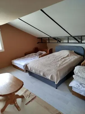 a bedroom with two beds and a table in it at Splav na dan AXA in Barič