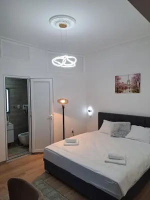 a bedroom with a large bed and a bathroom at Xena in Belgrade