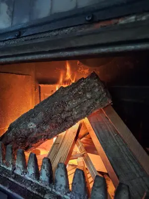 a piece of meat is cooking in an oven at Šumska Kosmaj in Nemenikuće