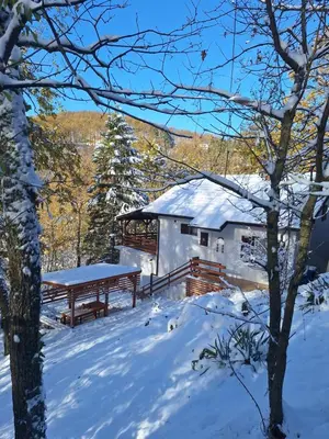 a cabin in the snow with a picnic table at Šumska Kosmaj in Nemenikuće