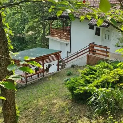 Šumska Kosmaj