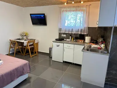 a kitchen with a sink and a table in a room at Apartman Aerodrom in Surčin