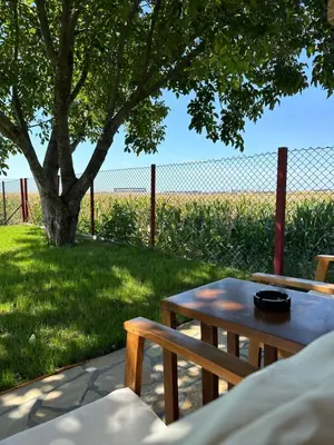 a table and chairs in a yard with a tree at Apartman Aerodrom in Surčin