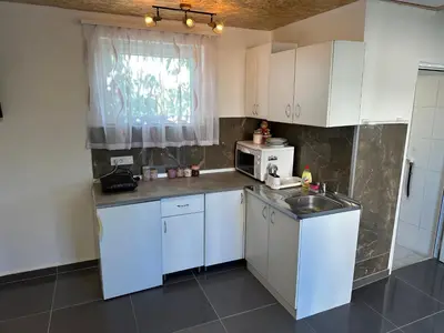a small kitchen with a sink and a microwave at Apartman Aerodrom in Surčin