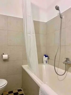 a bathroom with a shower and a tub and a toilet at Belgrade Star with Free parking in Belgrade
