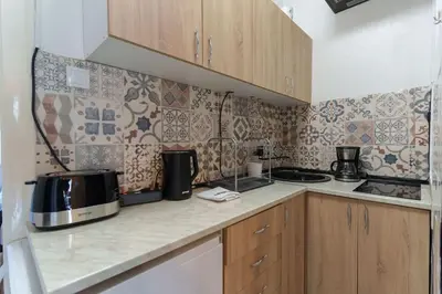 a kitchen with a stove and a counter top at Budislav lovely apartment in Belgrade