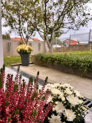 Gallery image of Hidden Garden Aranđelovac in Arandjelovac