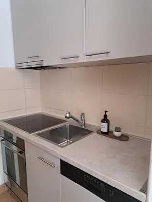 a kitchen with a sink and a counter top at Belgrade Stepa Stay in Belgrade