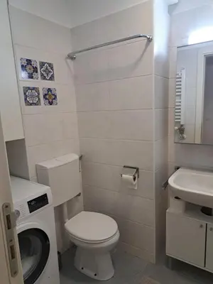 a small bathroom with a toilet and a sink at Belgrade Stepa Stay in Belgrade