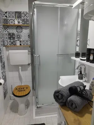 a bathroom with a shower and a toilet and a sink at HARMONY in Žarkovo