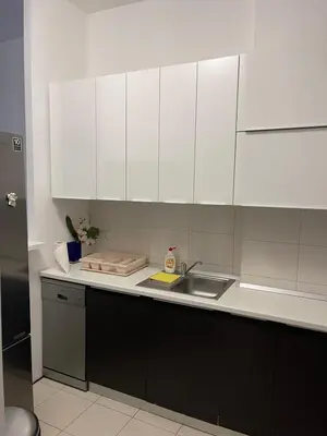a kitchen with white cabinets and a sink at Neds Apt Inc in Belgrade