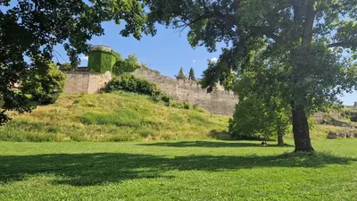 a castle on a hill with a tree in a field at Kalemegdan Riverfront Apartment - K-District in Belgrade