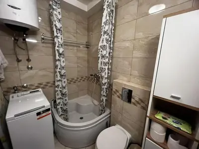 a small bathroom with a toilet and a shower at Family Rakic Apartment in Belgrade