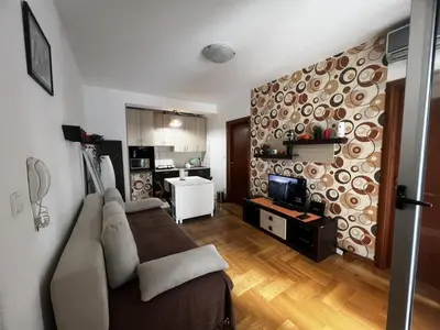 a living room with a brown couch and a kitchen at Family Rakic Apartment in Belgrade