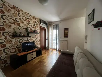 a living room with a couch and a flat screen tv at Family Rakic Apartment in Belgrade