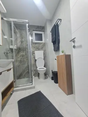 a bathroom with a shower and a toilet and a sink at Marash apartman - stan na dan in Belgrade