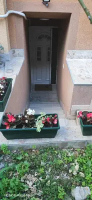 two pots of flowers on the steps of a building at Uno in Belgrade