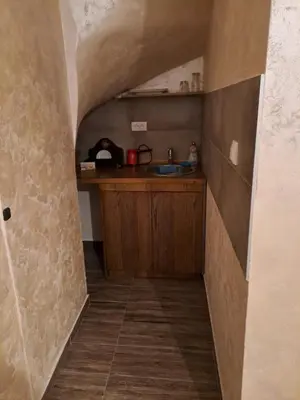 a small kitchen with a sink and a counter at Retro studio in Zemun