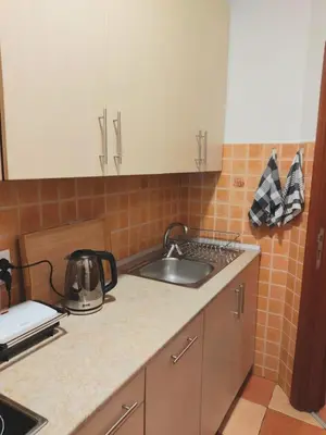 a kitchen with a sink and a counter top at DukeStepa in Belgrade