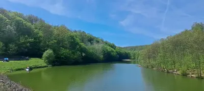 a river with a person in a boat in the water at Šumski raj Lipovica in Lipovica