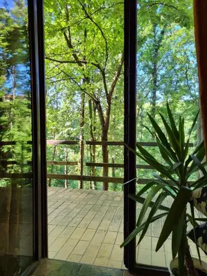 a window view of a porch with a potted plant at Šumski raj Lipovica in Lipovica