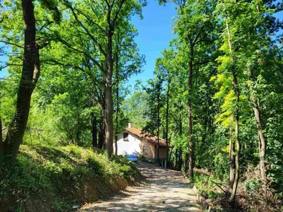 a dirt road leading to a house in the woods at Šumski raj Lipovica in Lipovica