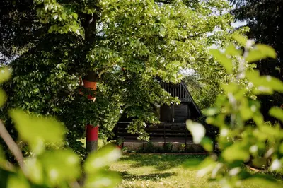 a log cabin sitting under a tree in the grass at Čajnički katun-čardak in Grabovac