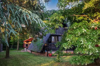 a cabin in the woods with a tree at Čajnički katun-čardak in Grabovac