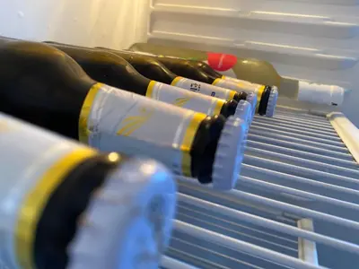 a group of bottles of wine in an open refrigerator at Bukuljska svežina 1 in Arandjelovac