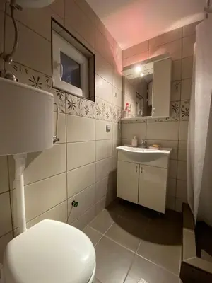 a bathroom with a toilet and a sink at Bukuljska svežina 1 in Arandjelovac