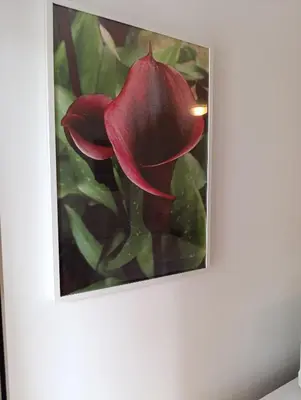 a picture of a red flower on a wall at Kala in Belgrade
