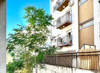 a building with balconies and a tree in front of it at Maison d'Elite in Belgrade