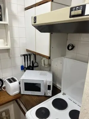 a kitchen with a white microwave and a stove at Lela's Place Vojvode Brane in Belgrade