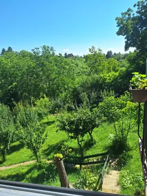 a view from a window of a garden at Kuća za odmor Sara in Čortanovci