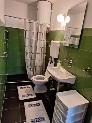 a bathroom with a toilet and a sink at Kuća za odmor Sara in Čortanovci
