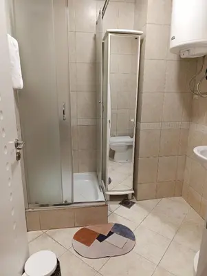 a bathroom with a shower and a toilet and a rug at Iris Slavija in Sajmište