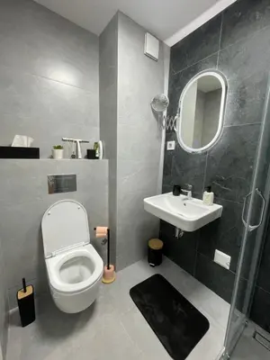 a bathroom with a toilet and a sink at Apartments Jedro in Belgrade
